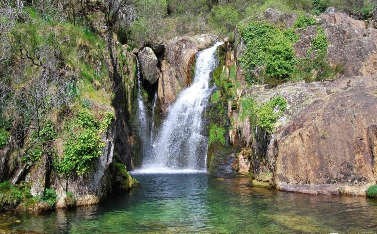 Arouca Passadicos Alojamento & Jacuzzi Экстерьер фото